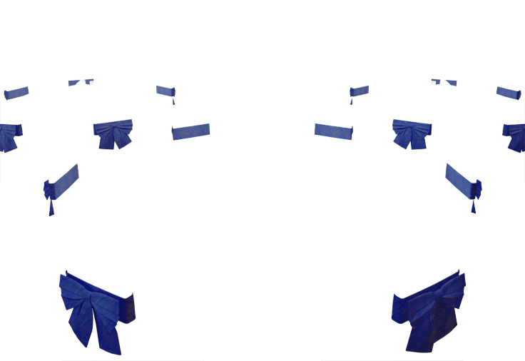 MAIN VISUAL chairribbon